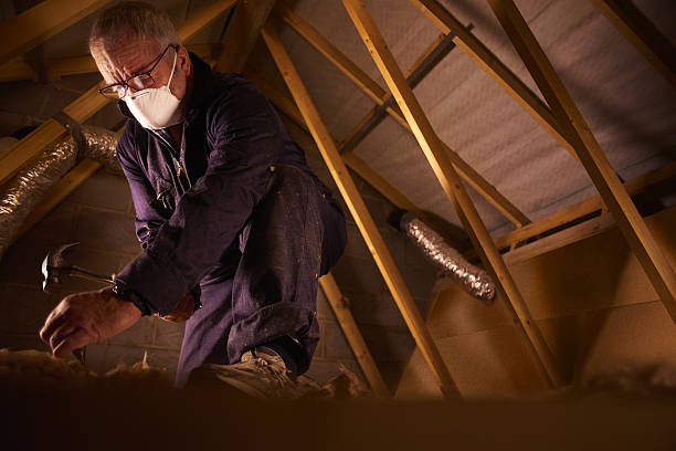 Best Professional Insulation Contractor  in Green Knoll, NJ